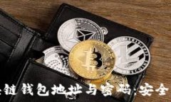   深入了解区块链钱包地址与密码：安全性与使用