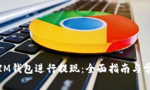 如何有效从IM钱包进行提现：全面指南与常见问题解答