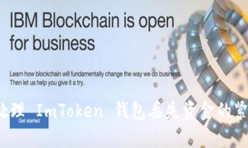 如何处理 ImToken 钱包丢失资金的紧急指南