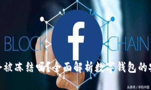 : 数字钱包会被冻结吗？全面解析数字钱包的安全性与风险