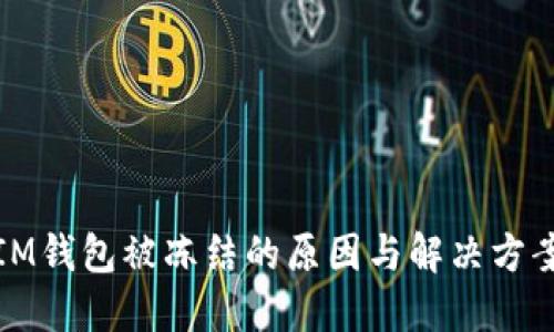 IM钱包被冻结的原因与解决方案