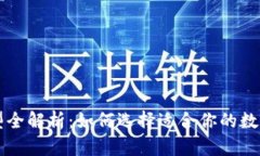 区块链钱包类型全解析：如何选择适合你的数字