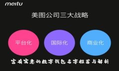 富有寓意的数字钱包名字推荐与解析
