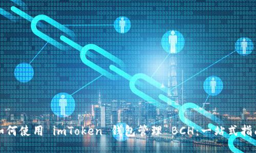 如何使用 imToken 钱包管理 BCH：一站式指南