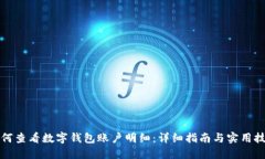 如何查看数字钱包账户明细：详细指南与实用技