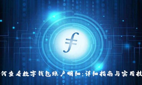 如何查看数字钱包账户明细：详细指南与实用技巧