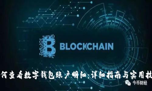 如何查看数字钱包账户明细：详细指南与实用技巧