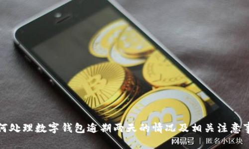 如何处理数字钱包逾期两天的情况及相关注意事项