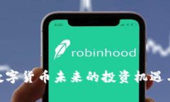 IMMT币：数字货币未来的投资机遇与风险分析
