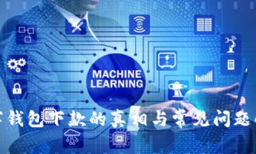 数字钱包下款的真相与常见问题解答