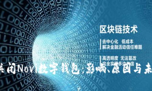 Meta关闭Novi数字钱包：影响、原因与未来展望