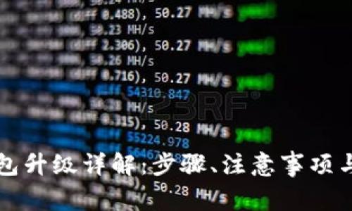 区块链钱包升级详解：步骤、注意事项与常见问题