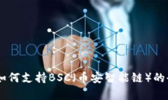 IM钱包如何支持BSC（币安智能链）的全面解析