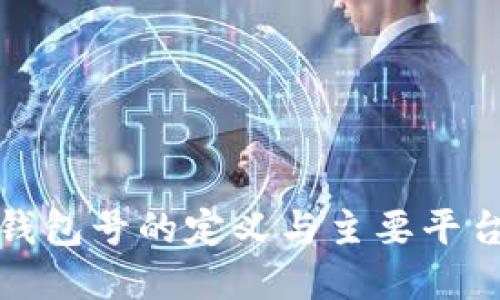 数字钱包号的定义与主要平台详解