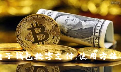 全面解析电子钱包数字支付：使用方法与注意事项
