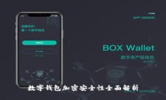 数字钱包加密安全性全面解析
