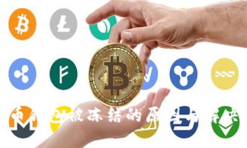 加密币钱包被冻结的原因与解决方案