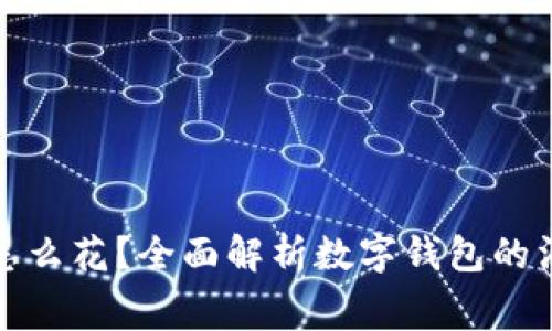 数字钱包的钱怎么花？全面解析数字钱包的消费方式与技巧