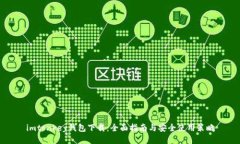 imtonkey钱包下载：全面指南与安全使用策略