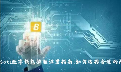 biasoti数字钱包限额设置指南：如何选择合适的限额