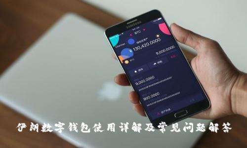 伊朗数字钱包使用详解及常见问题解答