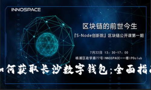 如何获取长沙数字钱包：全面指南