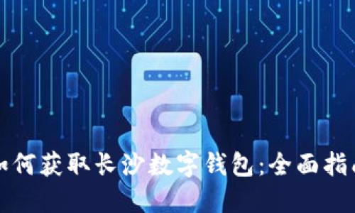 如何获取长沙数字钱包：全面指南