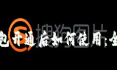 数字钱包开通后如何使用：全面指南