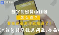   如何解决TokenTokenIM钱包转账慢速问题：全面解析