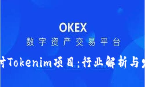 深入探讨Tokenim项目：行业解析与发展前景