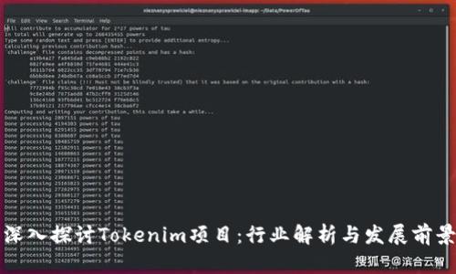 深入探讨Tokenim项目：行业解析与发展前景