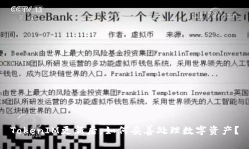 TokenIM更新后，如何妥善处理数字资产？