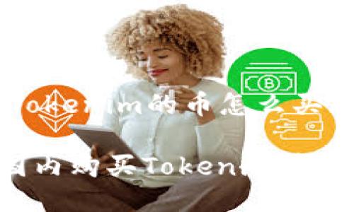 big国内Tokenim的币怎么买/big

如何在国内购买Tokenim币：全面指南