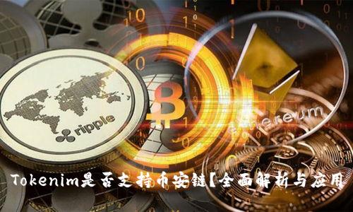Tokenim是否支持币安链？全面解析与应用