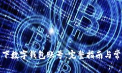 如何查询名下数字钱包账号：完整指南与常见问