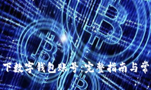 如何查询名下数字钱包账号：完整指南与常见问题解答