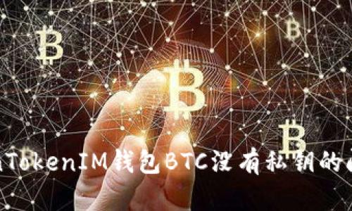 如何应对TokenTokenIM钱包BTC没有私钥的问题及解决方案