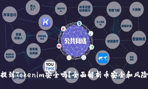 把币提到Tokenim安全吗？全面解析币安全和风险管理
