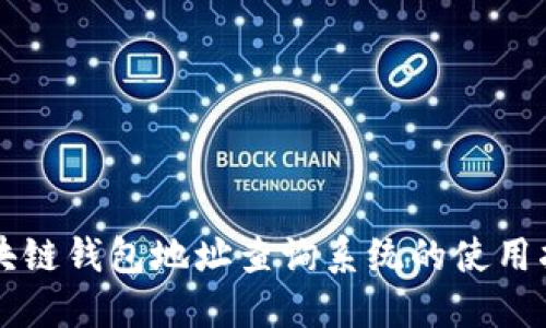 区块链钱包地址查询系统的使用指南