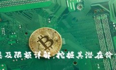 数字钱包分类及限额详解：挖掘其潜在价值与应