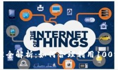 数字钱包额度管理全解析：如何合理利用100额度