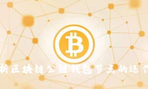 全面解析区块链公链钱包节点的运作与功能