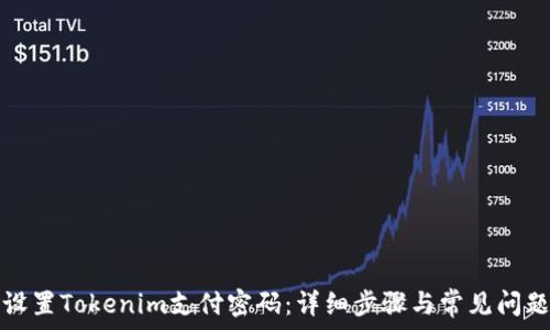   
如何设置Tokenim支付密码：详细步骤与常见问题解答