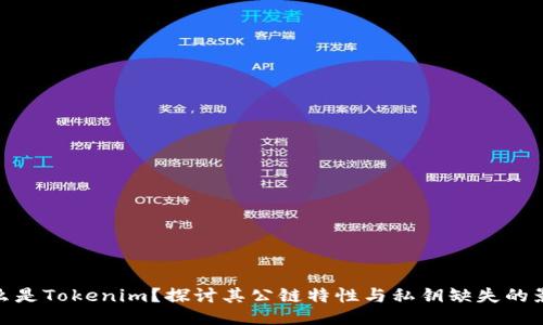 什么是Tokenim？探讨其公链特性与私钥缺失的影响