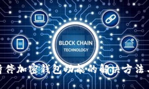 推特暂停加密钱包功能的解决方法与建议